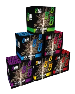 I'll be back 6Pcs. - HBL Fireworks