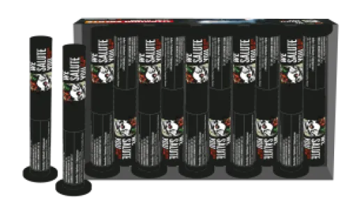 Titanium Salute (10pcs) - Single Shot - 25MM - We Salute You - HBL Fireworks